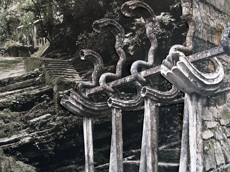 http://bestellen.mirunadragan.com/files/gimgs/th-6_IMG_2470_Xilitla_W.jpg